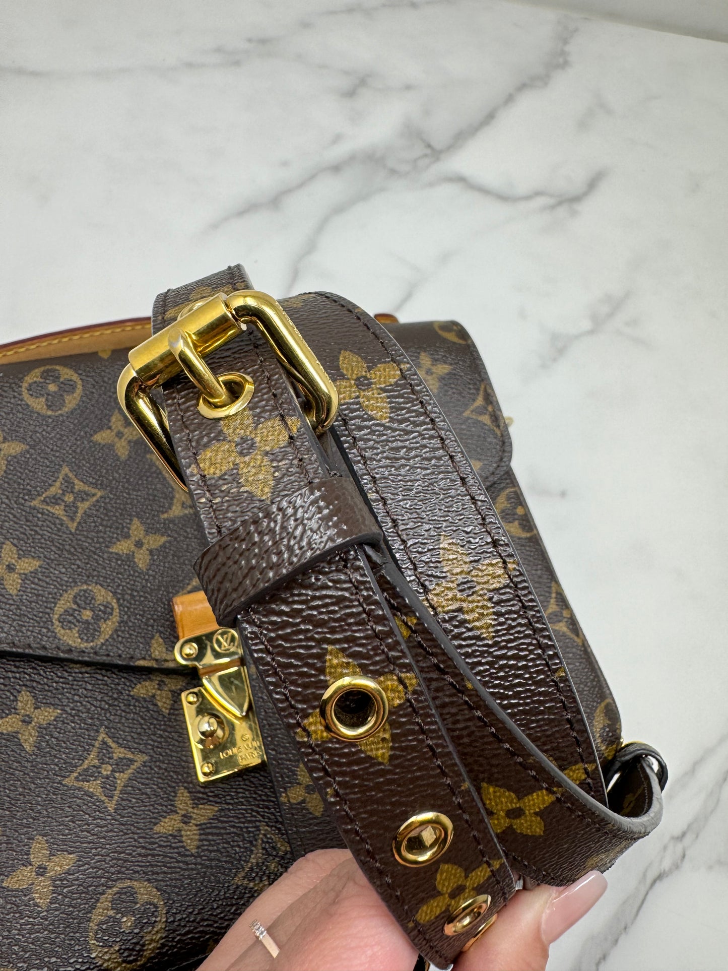 LOUIS VUITTON MONOGRAM POCHETTE METIS