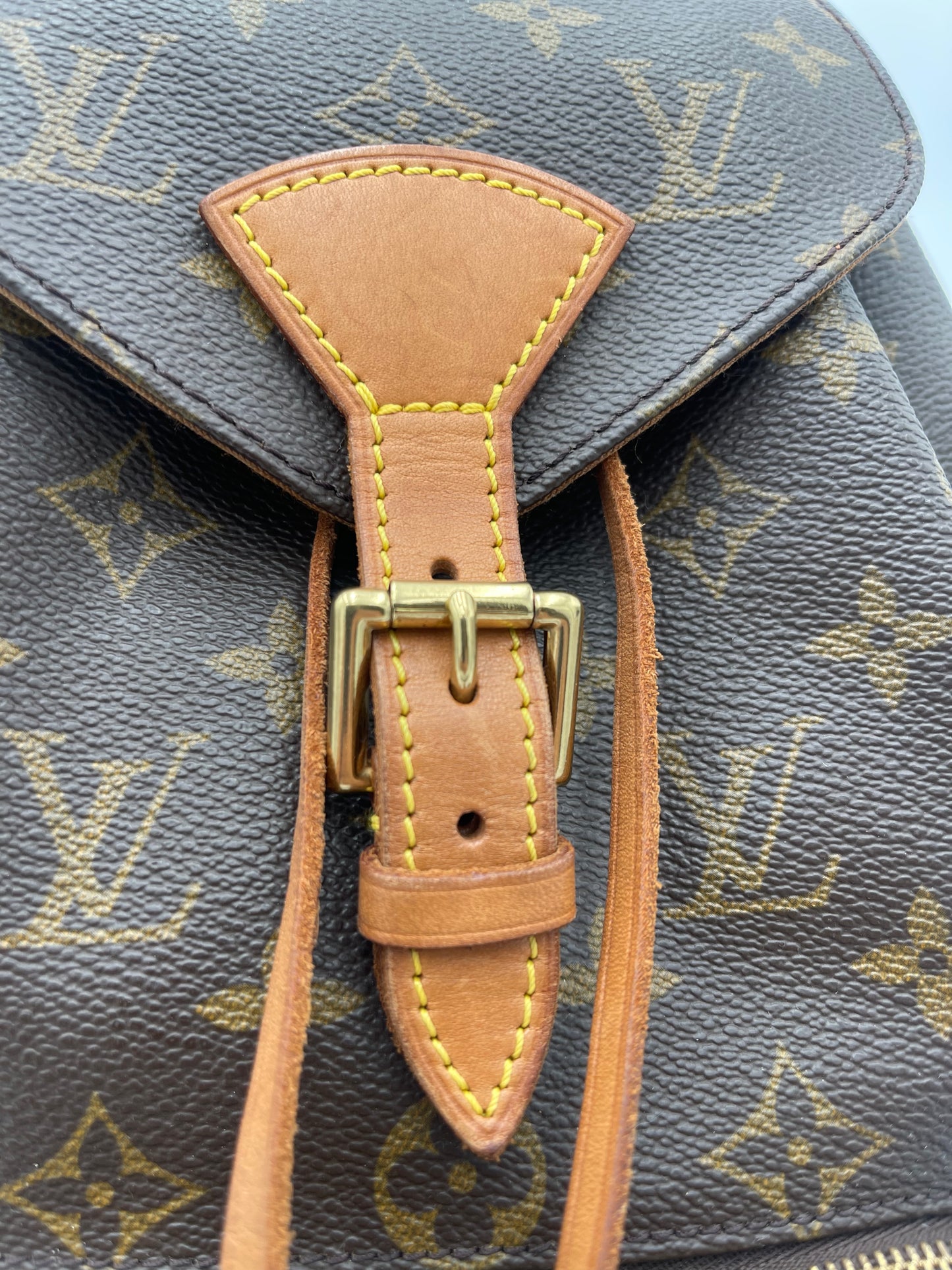 LOUIS VUITTON MONTSOURIS BACKPACK